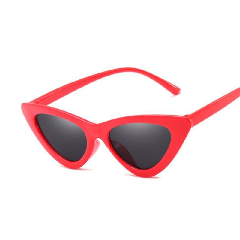 CHYLEANNA  Retro Vintage Triangular Sunglasses