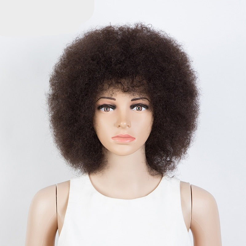 CHYLEANNA pluizig Afro Kinky Sassy menselijk haar pruik