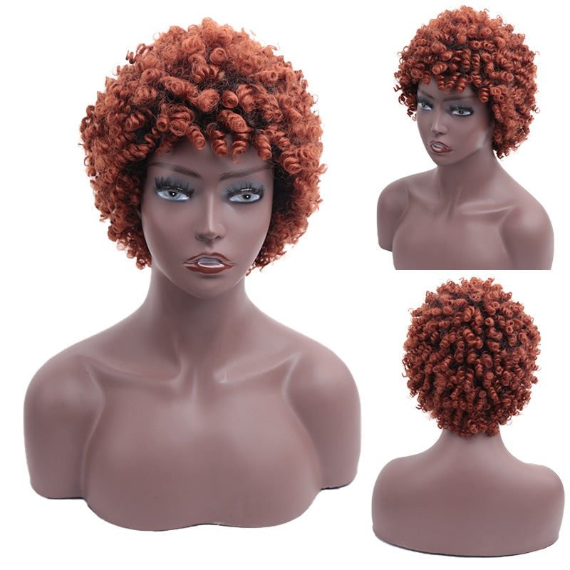 CHYLEANNA  Short Curly Natural Wig