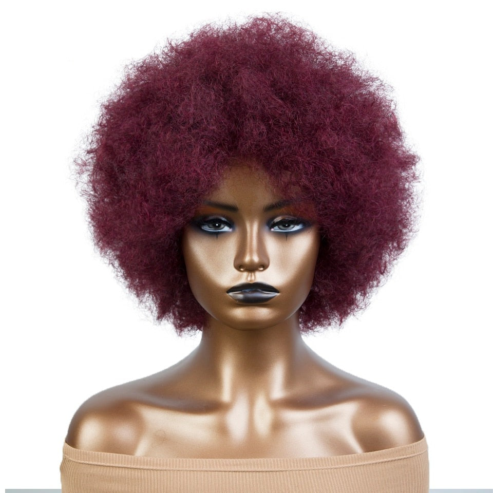 CHYLEANNA  Fluffy Afro Kinky Sassy Human Hair Wig