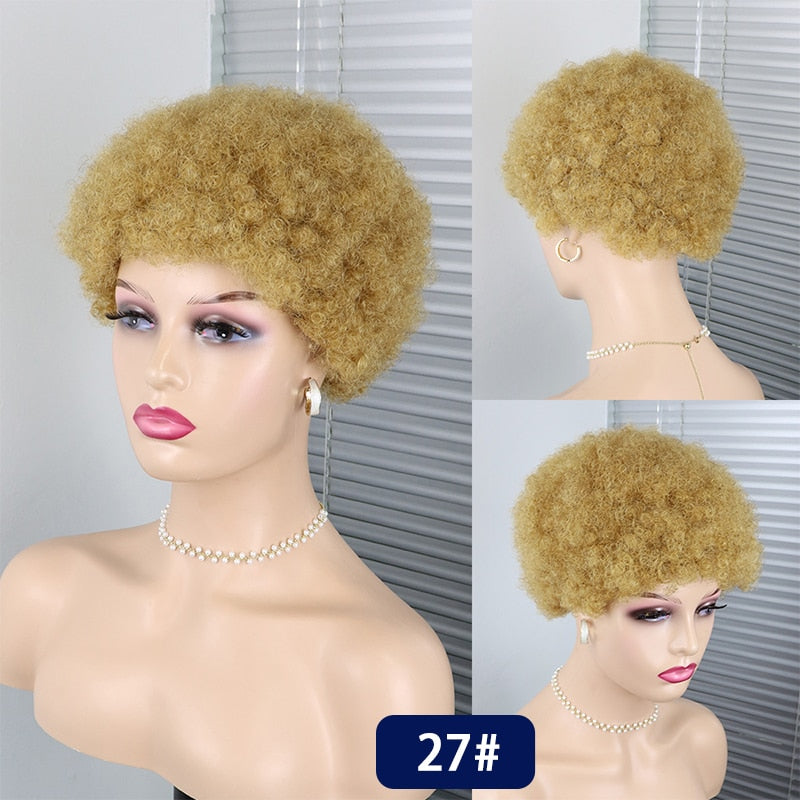 CHYLEANNA  Short Curly Pixie Cut Brazilian Human Hair