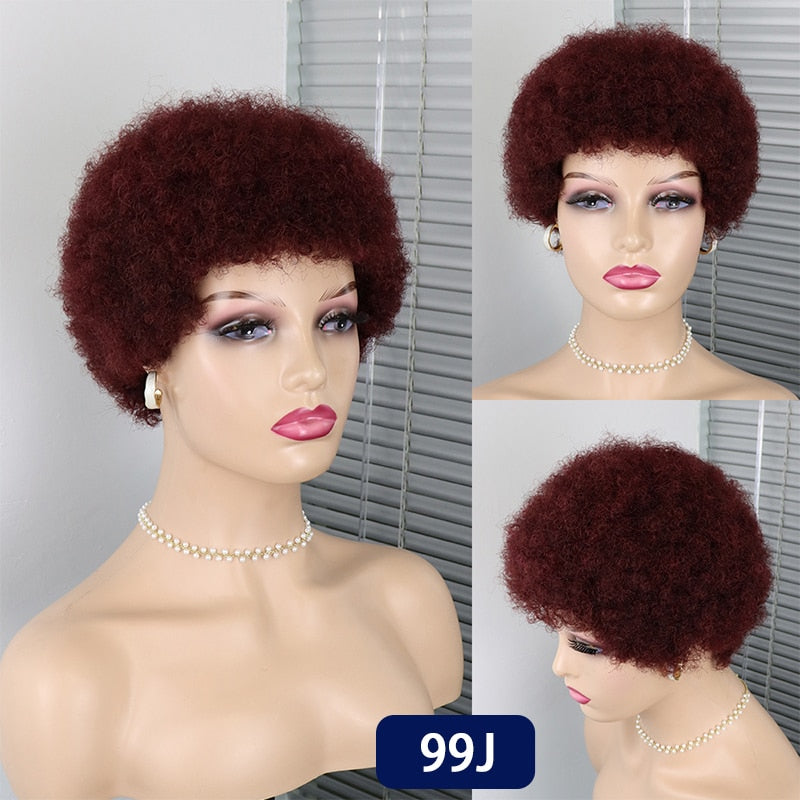 CHYLEANNA  Short Curly Pixie Cut Brazilian Human Hair