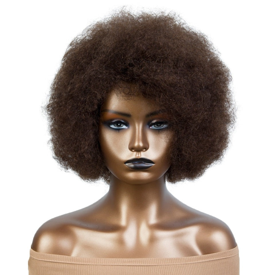 CHYLEANNA  Fluffy Afro Kinky Sassy Human Hair Wig