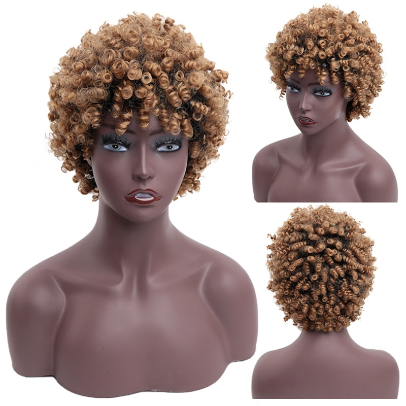 CHYLEANNA  Short Curly Natural Wig